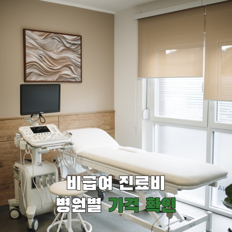 2026 비급여 진료비 조회, 병원별 가격은 어디까지 비교할 수 있나?