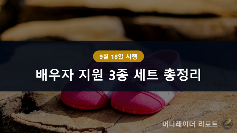 배우자 지원 3종 세트 총정리, 배우자 출산전후휴가 50일 전부터·유산사산휴가 5일 신청 방법