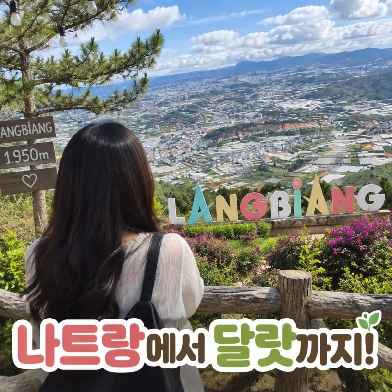 나트랑 출발 달랏 원데이 투어 솔직 후기 | 이동시간·코스·꿀팁 완벽 정리