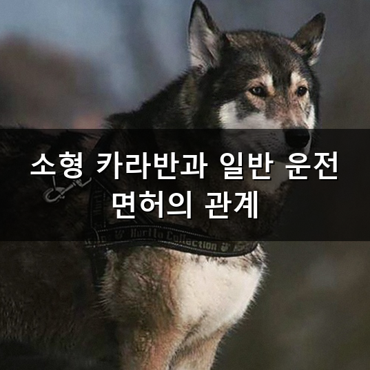 카라반 면허 기준 알고 나면 생각보다 간단하더라고요