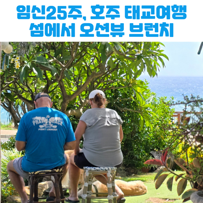 호주 태교여행 브리즈번 5·6일차 노스 스트라드브로크섬 캠핑 맛집