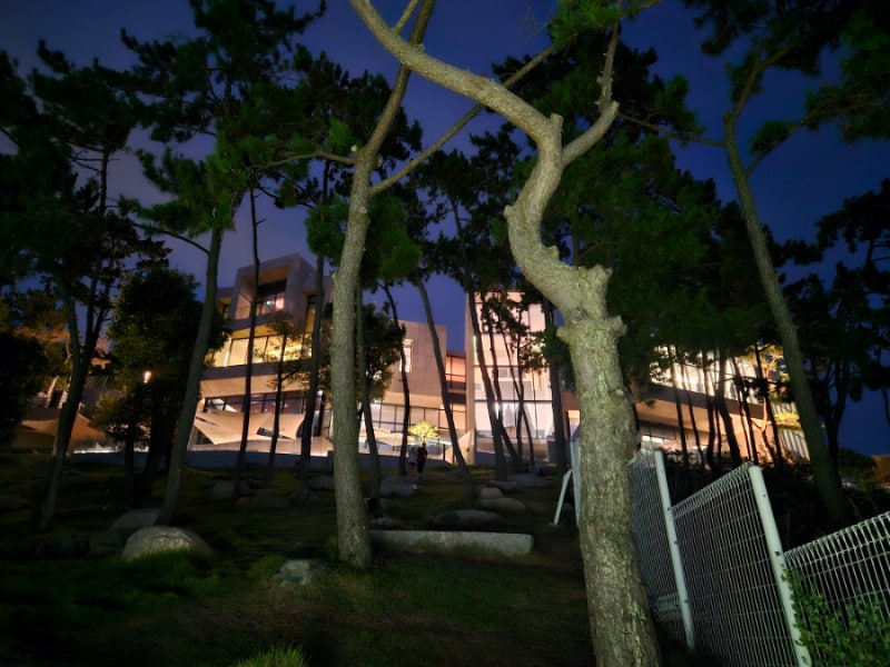 가덕도 대형 카페 세븐아일랜드 빵이 맛있고 뷰가 예쁜 베이커리 카페 추천 2025유네스코 후....