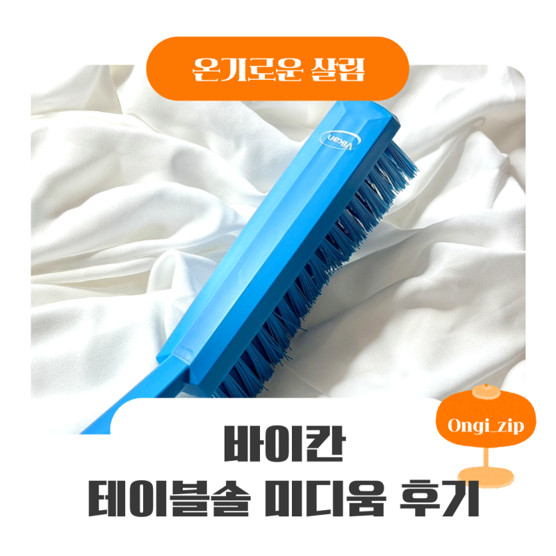 바이칸 청소솔 세트 고민된다면? 직접 써본 테이블솔 미디움 후기