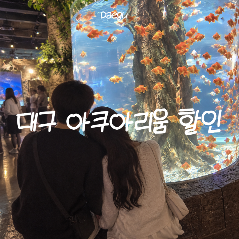 대구 아쿠아리움 할인 공연 인어쇼 데이트코스 추천 가볼만한곳