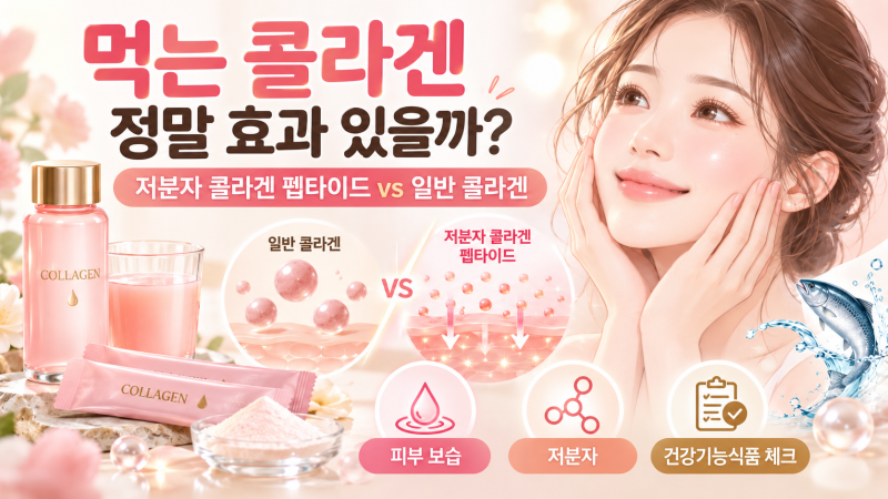 먹는 콜라겐 정말 효과 있을까?｜저분자 콜라겐 펩타이드와 일반 콜라겐 차이