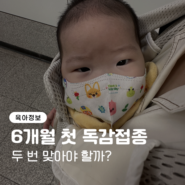 6개월 아기 독감 예방접종 처음 맞을 때는 두 번 맞아야 할까요?