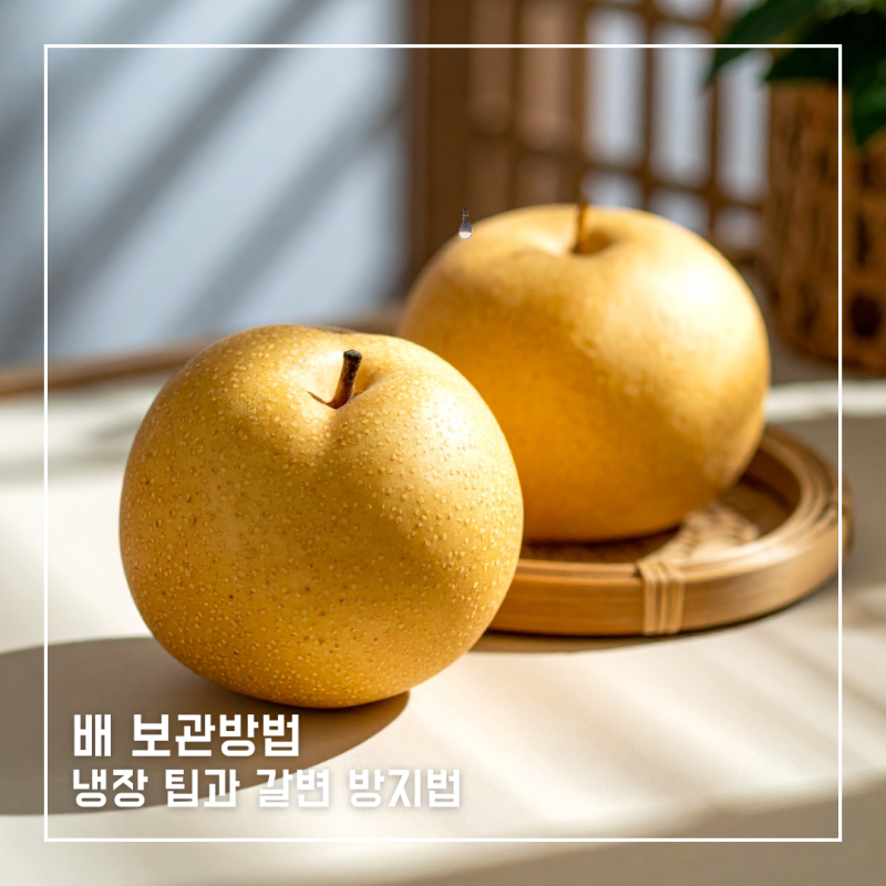 배 보관방법, 한 박스 사도 끝까지 아삭하게 먹는 냉장 팁과 갈변 방지법
