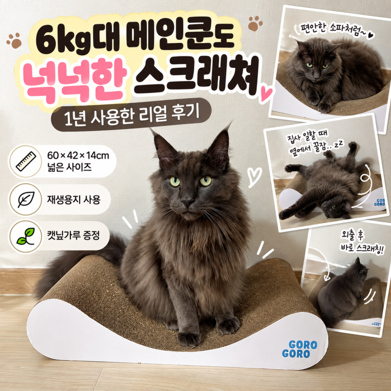 고양이 대형 스크래쳐 추천! 6kg대 메인쿤이 1년 사용한 고로고로 소파 스크래쳐