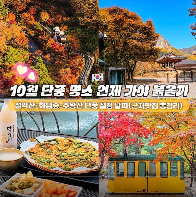 10월 단풍 명소 언제 가야 붉을까, 설악산·화담숲·주왕산 단풍 절정 날짜(예약방법, 근처맛....