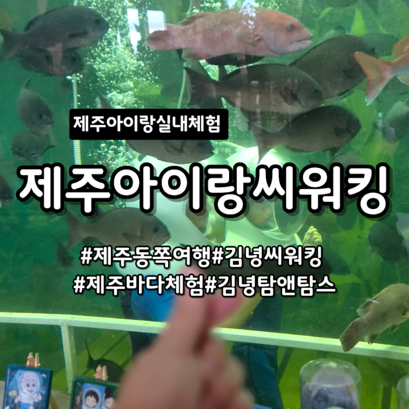 제주 이색체험 씨워킹 l 제주 아이와 가볼만한곳 김녕어촌체험휴양마을 실내씨워킹