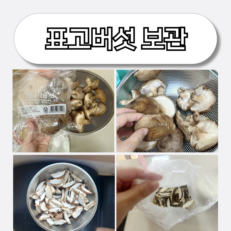 표고버섯 보관 냉장 냉동 표고버섯 요리