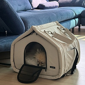 쏘오옥 하우스 2주 사용후기 강아지 카시트·이동장·하우스까지 내돈내산