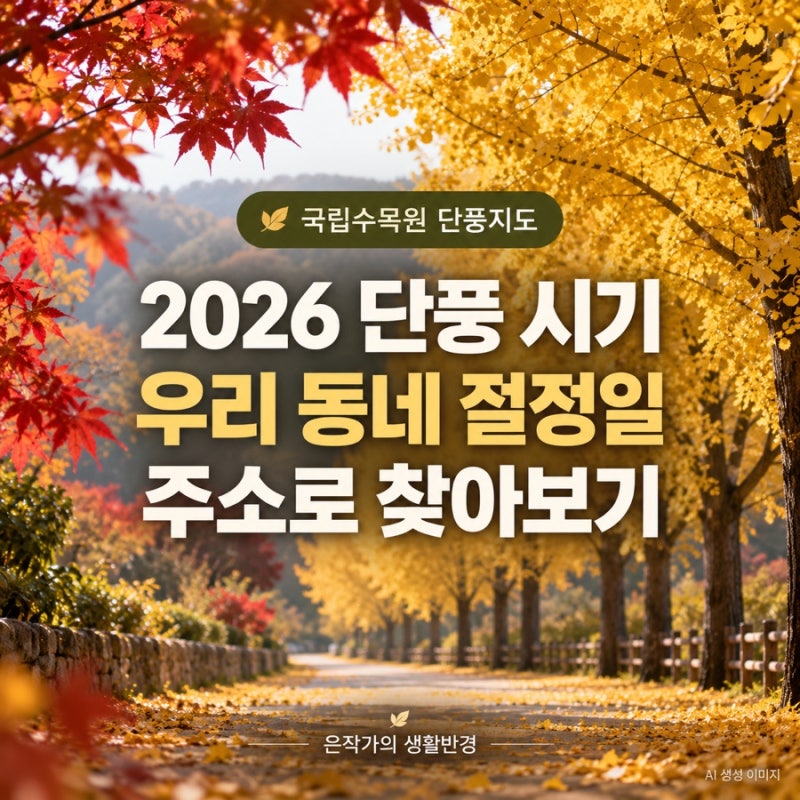 2026 단풍 시기·절정일 조회｜국립수목원 단풍지도와 가을 여행 준비