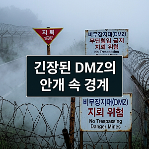 DMZ 지뢰 폭발 사건의 진실: 북한 목함지뢰 위협과 국방부 대응, 남북 관계 전망까지 완벽 정....