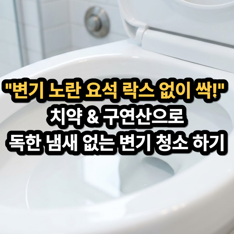 변기 요석 제거 방법 찌든 물때 치약 구연산 청소로 냄새까지 싹 없애기