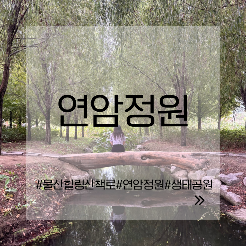 울산 연암정원| 울산 산책로| 도심 속 힐링 공간 추천