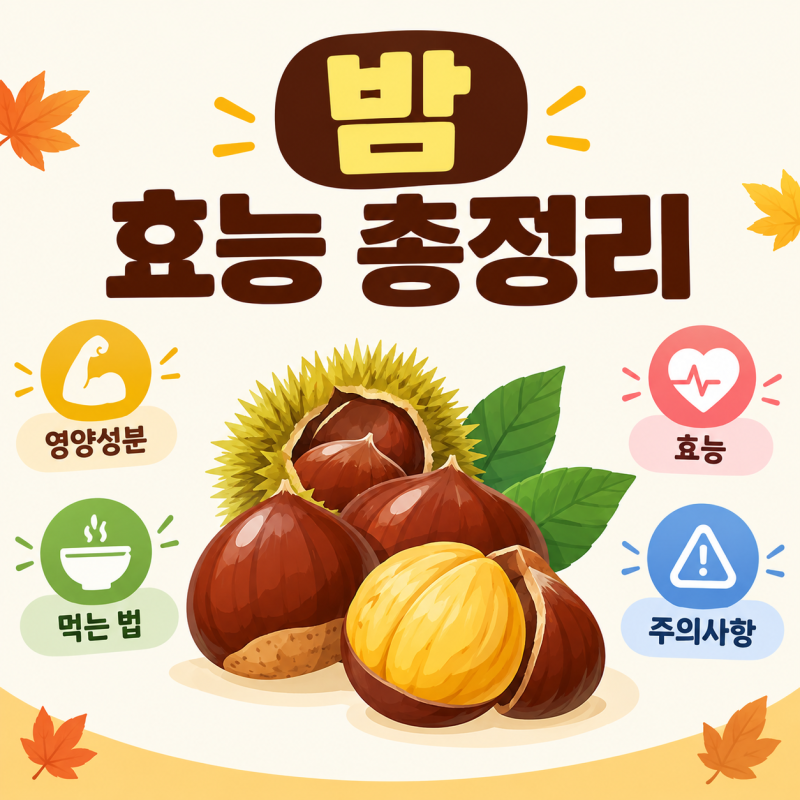 밤 효능 총정리 | 영양성분·칼로리·먹는 법·주의사항 한 번에 끝내기