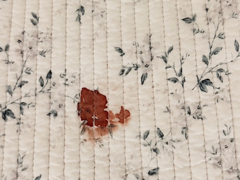 생리혈 얼룩 지우기, 낫띵워시를 분무기에 넣어 뿌려봤어요