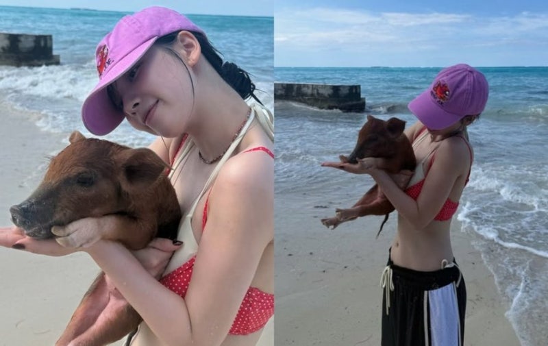 에스파 카리나 바하마 사진 한 장에 "이게 맞아?"…아기 돼지까지 품에 안은 이유