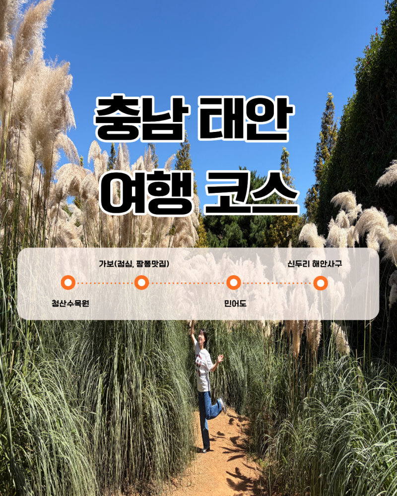충남 태안 여행코스 추천｜청산수목원부터 신두리 해안사구 일몰까지
