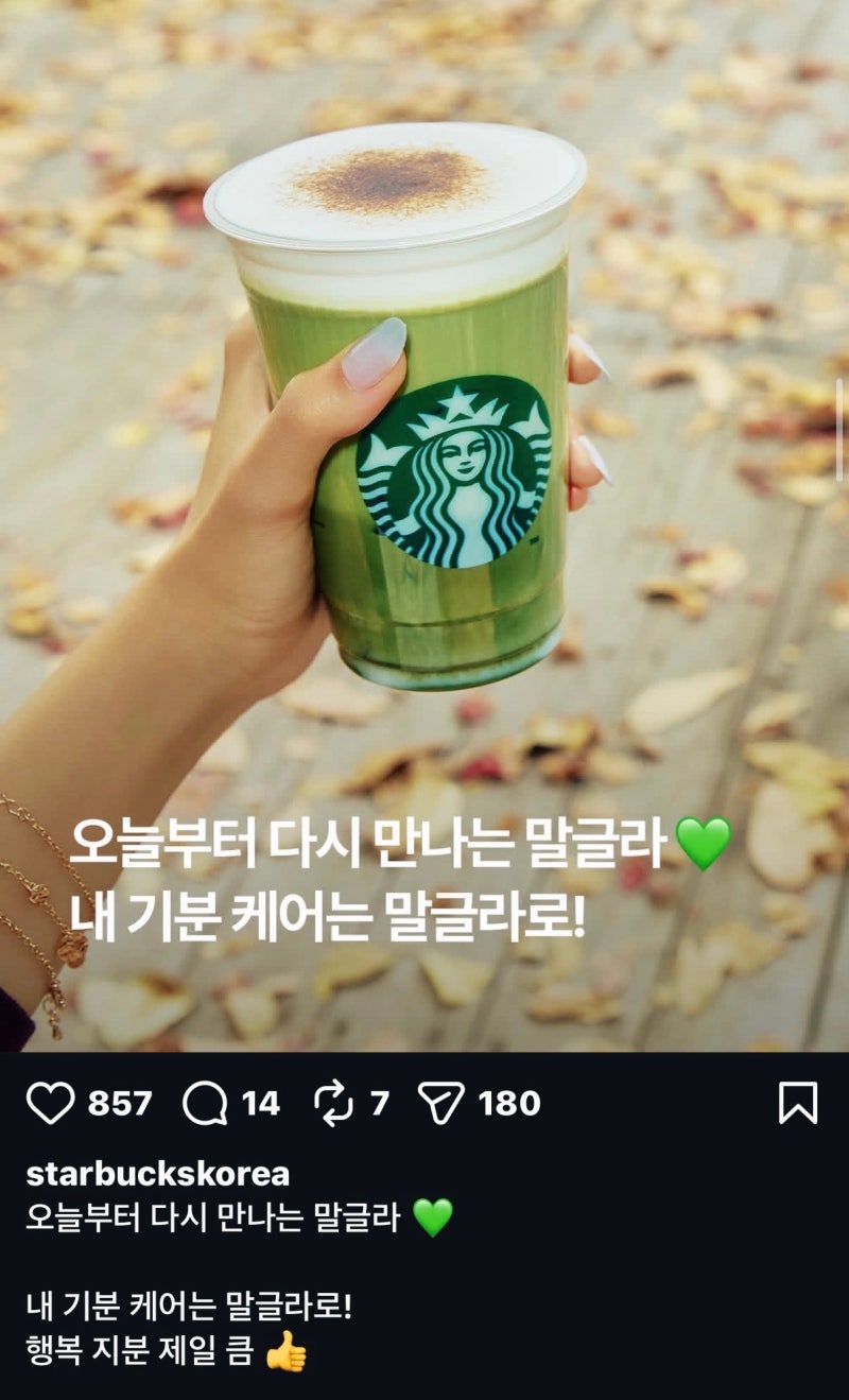 초코나무숲 좋아하면 이거 모르면 손해☘️ 스타벅스 말글라 존맛 커스텀