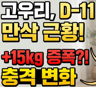 37세 고우리, 5살 연상 남편과 결혼하더니 +15kg 만삭…출산 D-11 근황 봤더니