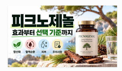 피크노제놀 효능과 복용법, 혈액순환·항산화 효과부터 선택 기준까지