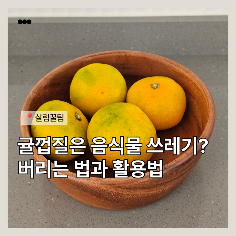 제주도 귤껍질 버리는 법, 음식물 쓰레기일까? 버리는 방법과 활용법 총정리