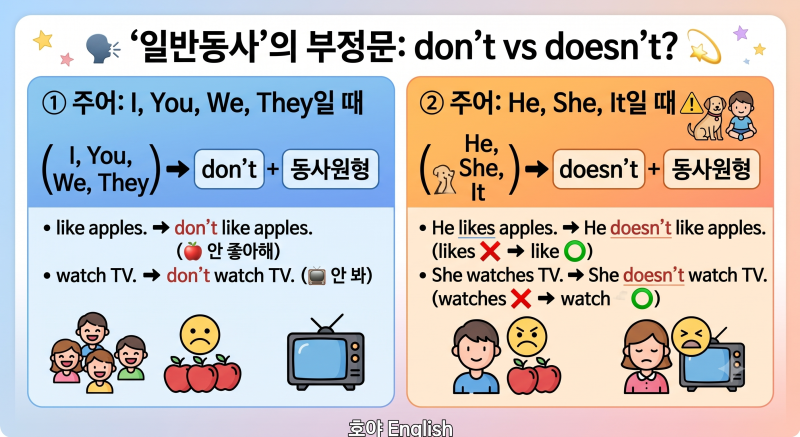 [호야's 초등영문법 #9] ★일반동사★"안 해!"와 "하니?"의 마법 도우미! 일반동사의 부정문과 ....