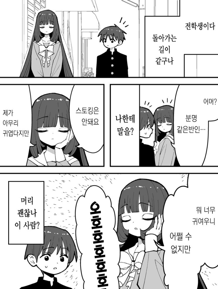  머리가 이상한 전학생 / 꿈의 전개 / 불쌍한 사람 - [오리지널 만화][웹코믹]