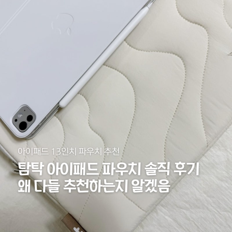 아이패드 파우치 유목민 정착템! 탐탁 아이패드 13프로 파우치 솔직 후기