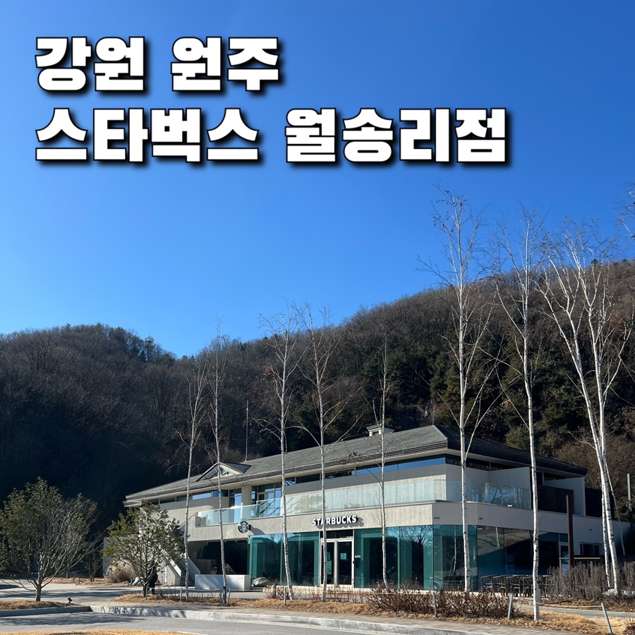 별다방 사진 1