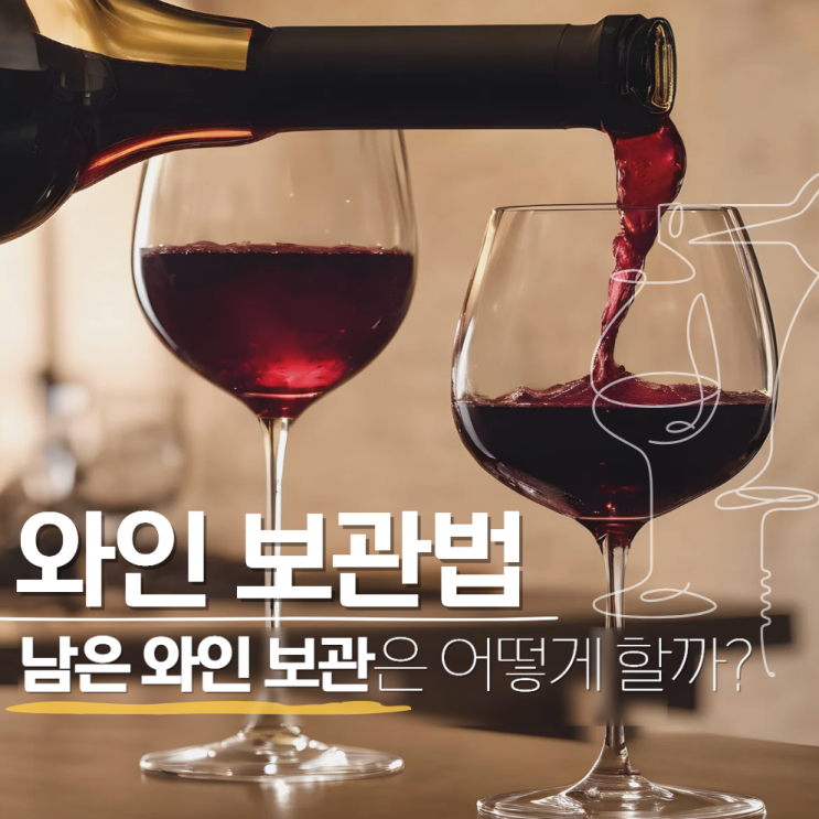  남은 와인 보관법 화이트 레드 스파클링