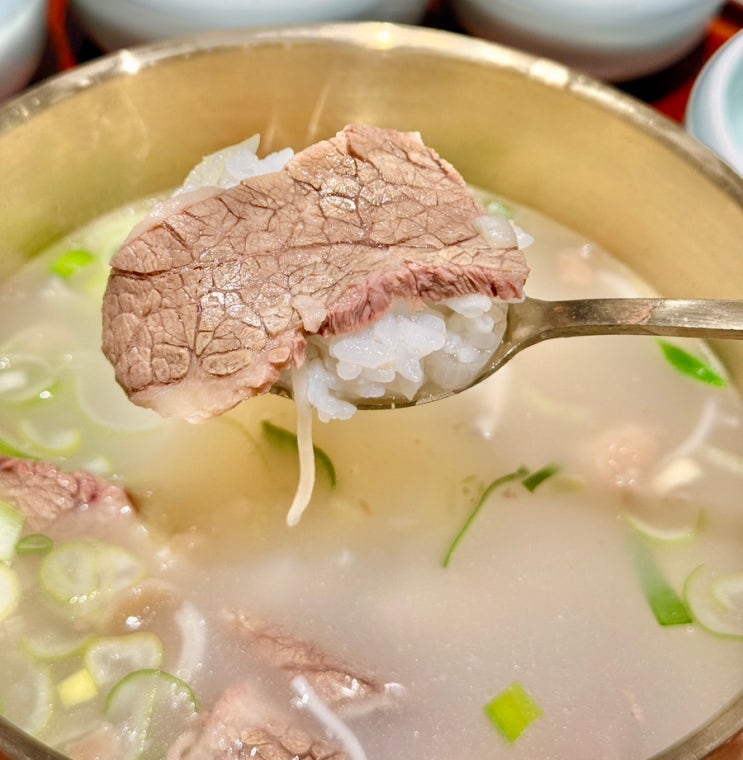  곰작소 종각 그랑서울 한식 맛집 종각 주차가능 곰탕 맛집