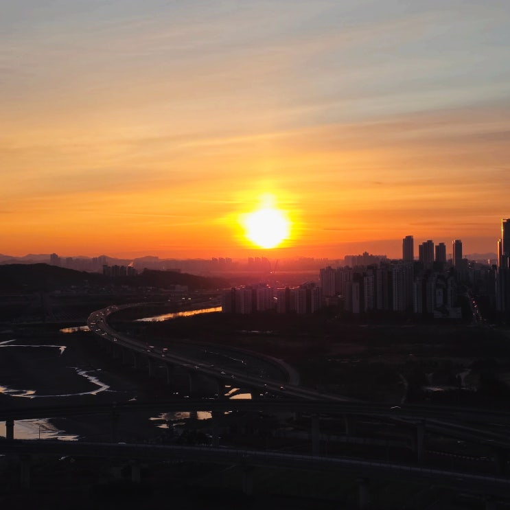  2026 새해 해돋이, 일출보다 천천히 흐르길 바라는 반려견의 시간