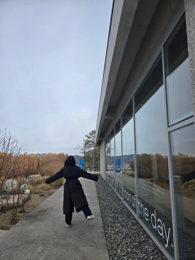  2026 새해 경산 나들이 | 보길도낙지 본점 낙곱새, 브리프저니 카페 후기