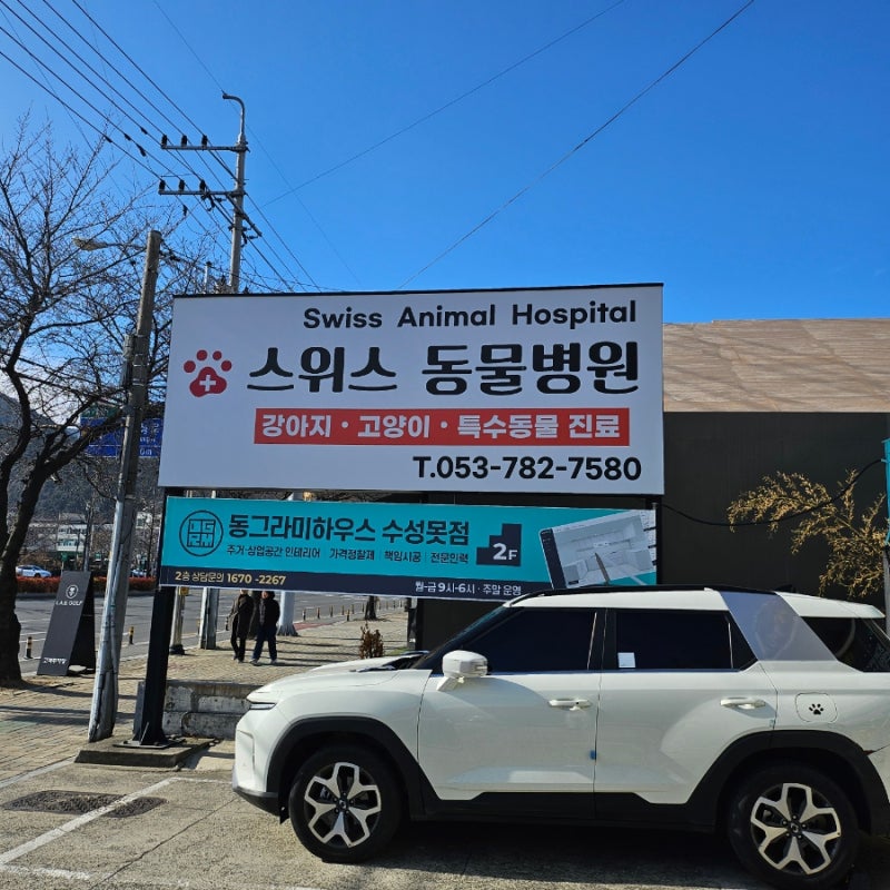 사진 6