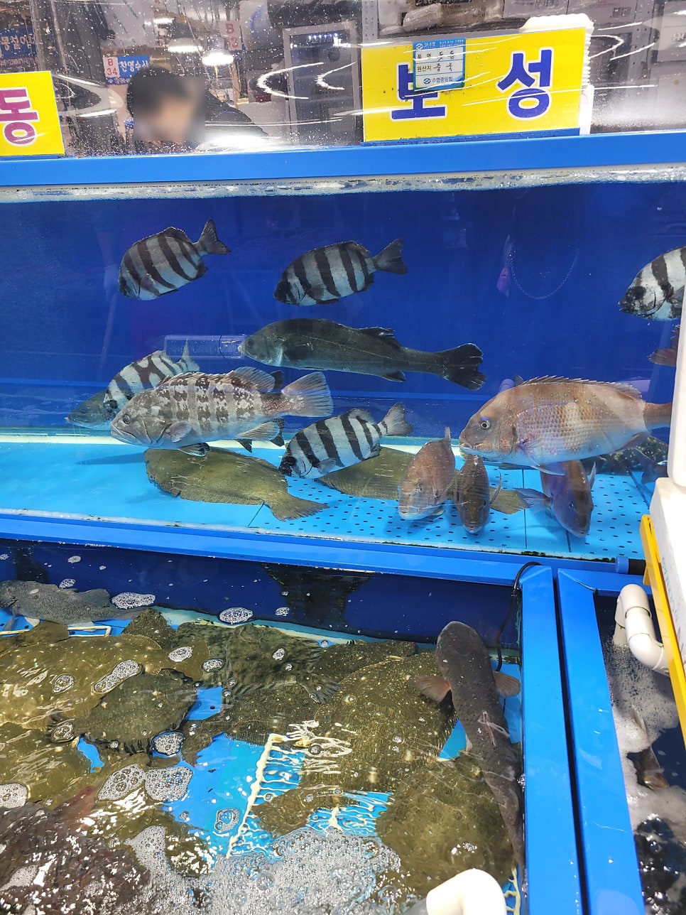 나로도수산 사진 6