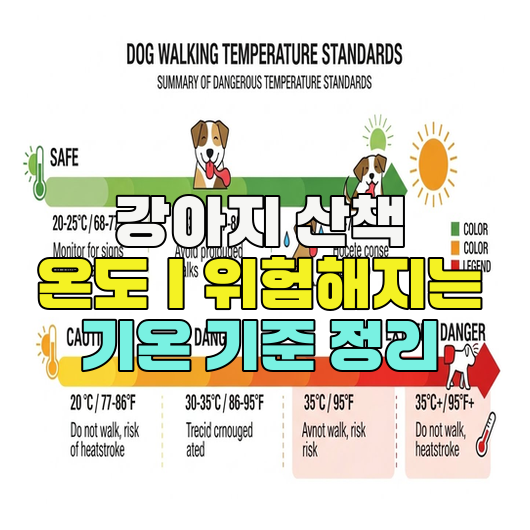  강아지 산책 온도｜위험해지는 기온 기준 정리