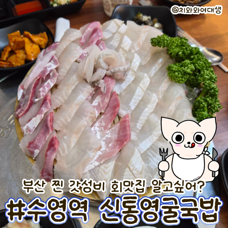  수영역 맛집 횟집 신통영굴국밥 재방문 후기