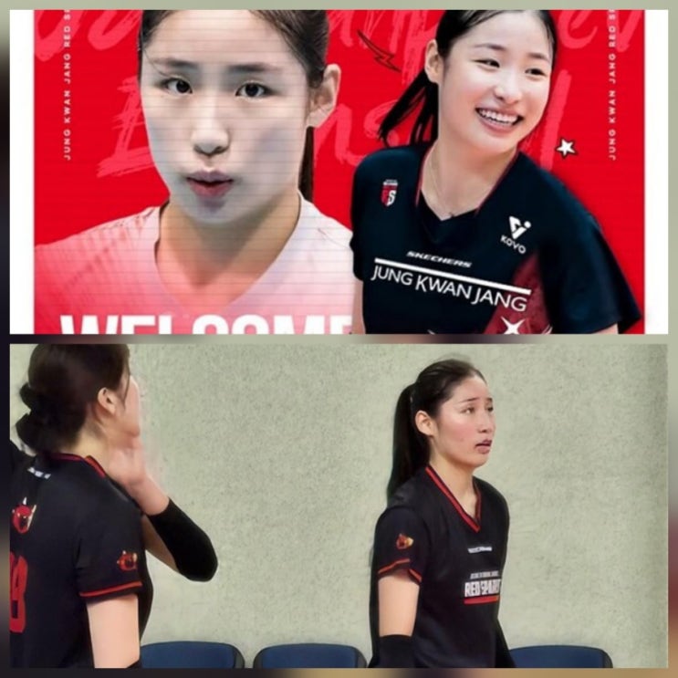 정관장 인쿠시 근황 인스타 나이 프로필