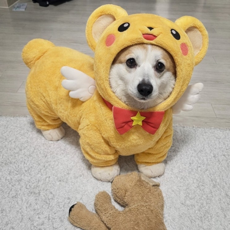  AI 인형탈에 잠식당해버린 홍찌