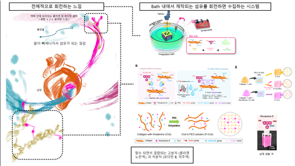  Advanced Science 저널 커버 일러스트 외주 작업기 (심장 회전 메타포 커버 제작)