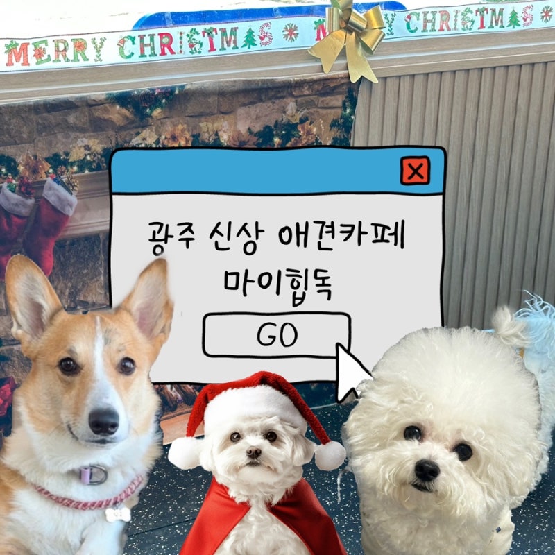 사진 3