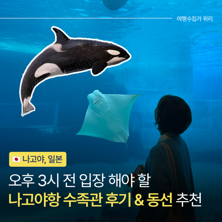  나고야항 수족관 늦게 들어간 후기 할인 입장 시간 추천 동선 정리