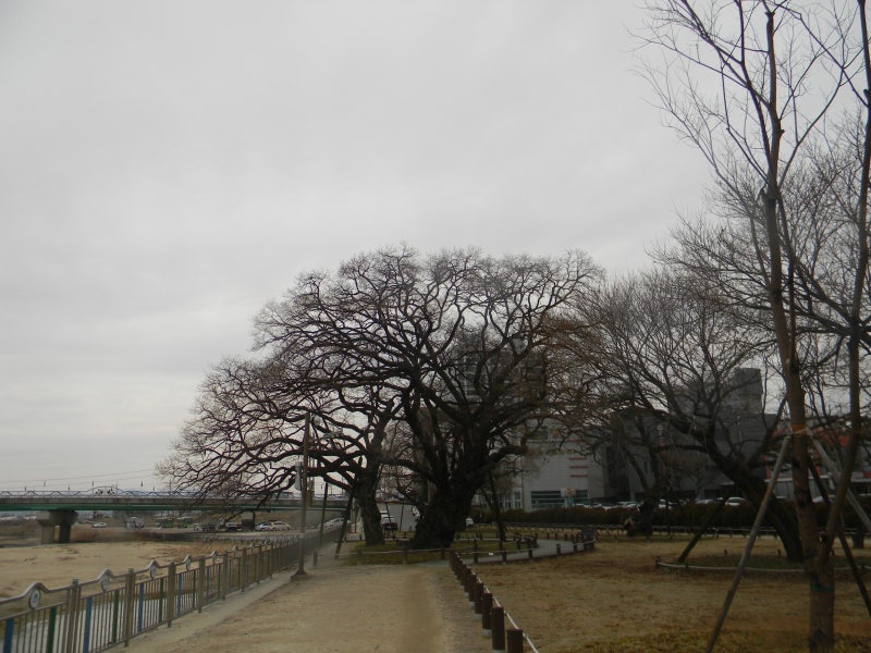 사진 5