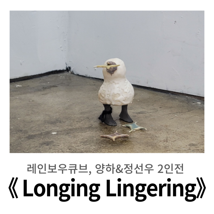  홍대, 합정 전시 : 레인보우큐브, 양하 정선우 2인전 《롱잉 링거링 Longing Lingering》