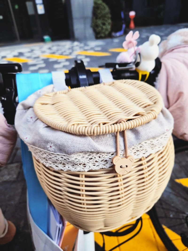 라탄 자전거 바구니 내돈내산 후기 / 전기자전거, 킥보드용 바구니 / 뚜껑 달린 바구니