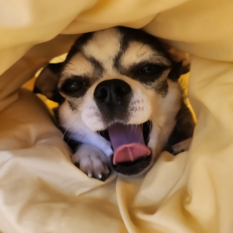 사진 4