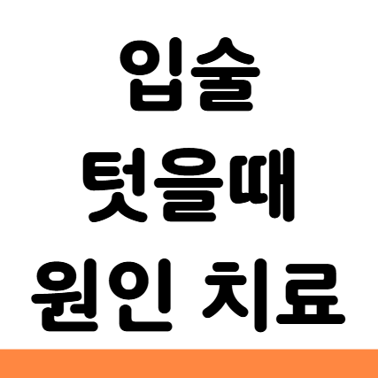  입술 텄을때 텃을때 원인 증상 연고 립밤 대처